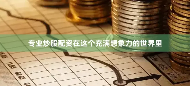 专业炒股配资在这个充满想象力的世界里